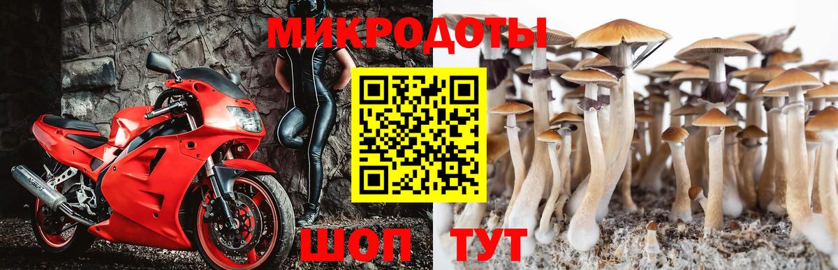 Верхний Уфалей  Псилоцибиновые грибы GOLDEN TEACHER  Вход с VPN 