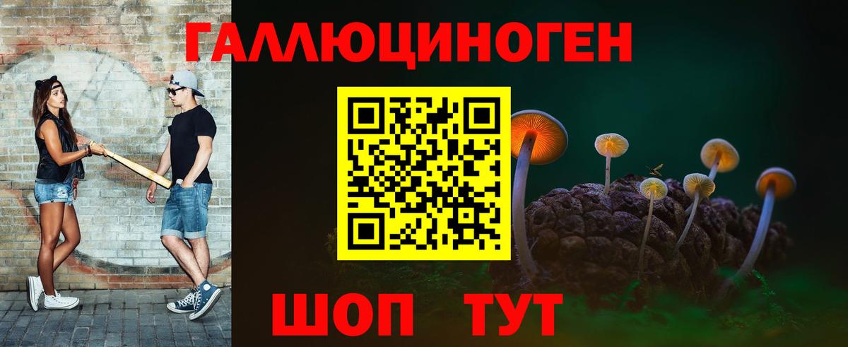 Псилоцибиновые грибы Psilocybe Верхний Уфалей